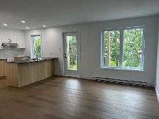 Magnifique 4 1/2, construction neuve, Vanier, libre - Photo 2