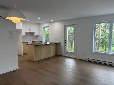 Magnifique 4 1/2, construction neuve, Vanier, libre - Photo 3