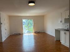 Superbe beau grand 4 1/2, Ste-Émile Libre - Photo 6