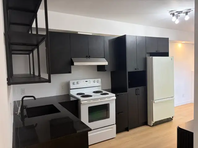 Superbe et très grand 7 1/2, 4 chambres, St-Sauveur, Libre