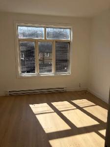 Superbe et très grand 7 1/2, 4 chambres, St-Sauveur, Libre - Photo 18
