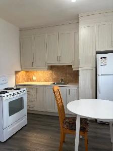 Beau grand 4 1/2, St-Sauveur, 2e étage Libre - Photo 10