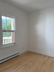 Beau grand 4 1/2, St-Sauveur, 2e étage Libre - Photo 15