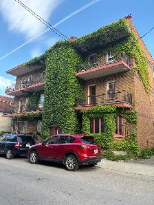 Beau grand 4 1/2, St-Sauveur, 2e étage Libre - Photo 16