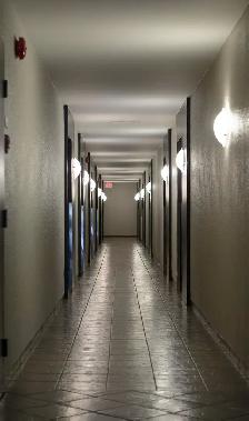 2 Bedroom For September in Nepean Near Algonquin College - Photo 8