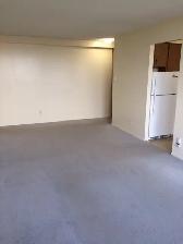 2 BEDROOM - $1749 -Nov 1 - Photo 9