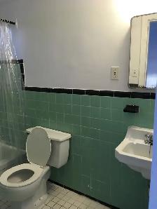 1 ½ à louer meublés près de Crémazie! - Photo 6