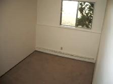 Lakeview Area - 2 Bdrm Condo for Rent - Photo 8