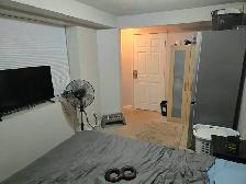 FREE RENT!  NO CREDIT CHECKS! NO EMPLOYMENT VERIFICATION! NO I