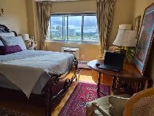 Furnished Room  in a Rockcliffe Park Area - Photo 2