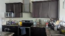 Edmonton New Home Basement 1,400 / month - Photo 5