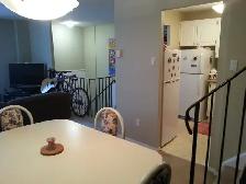 A Room Available for a University Female Student - Photo 5