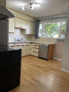 BRIGHT & BEAUTIFUL 4-Bed 2-Bath Home w/ Double Garage & Basement - Photo 10