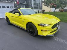 2022 Ford Mustang GT Premium Convertible - Photo 3