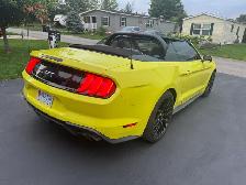 2022 Ford Mustang GT Premium Convertible - Photo 4