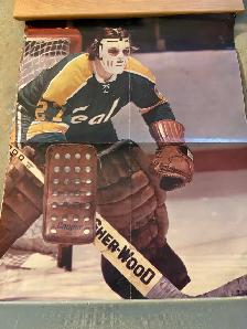 Group of Six vintage goalie posters - Photo 2