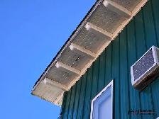Real Estate Auction: King's Hotel - Shaunavon, SK - Photo 10