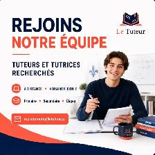 En ligne/Tutorat/Tuteur/Temps partiel/Job étudiant/Flexible/Zoom