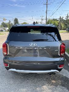 2020 Hyundai Palisade Luxury - Photo 6