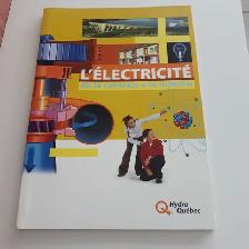 GRAND LIVRE NEUF ÉLECTRICITÉ DE LA CENTRALE DE LA MAISON: $10.00