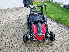 Coleman CK196-T Go cart