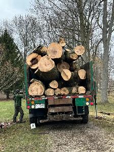 Free Wood! Looking for sites to dump wood at from tree removals - Photo 2