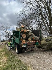 Free Wood! Looking for sites to dump wood at from tree removals - Photo 3