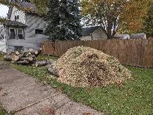 Free Wood! Looking for sites to dump wood at from tree removals - Photo 5