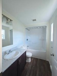 Spacious 3 Bd Mini Home - Photo 4