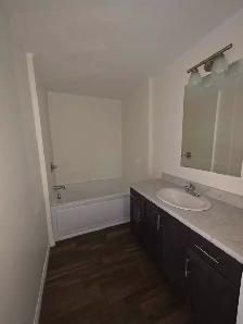 Spacious 3 Bd Mini Home - Photo 8