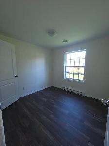 Spacious 3 Bd Mini Home - Photo 10