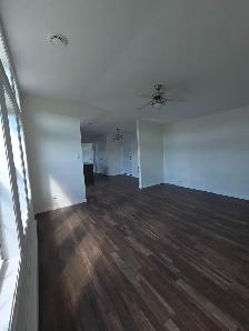Spacious 3 Bd Mini Home - Photo 11