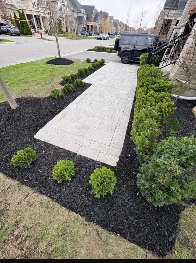 Landscaping - Same Day service
