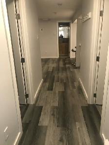 2 Bedroom Basement Suite Southside - Photo 2