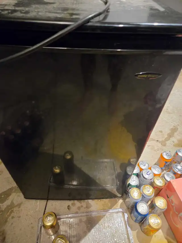 Danby bar fridge