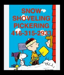 SNOWBLOWER SNOW SHOVEL DRIVEWAY PICKERING