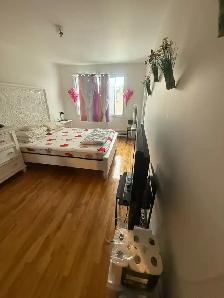 Bright 2 Bedroom Apt for Rent – $1,350 – 8535 Av. Bloomfield - Photo 3