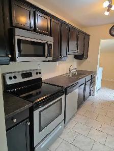 FANTASTIC PRISTINE CLEAN 2 BED 1 BATH NEAR THE U! - Photo 3