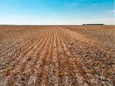FARMLAND FOR SALE BY TENDER | 624.93 Acres | Near Sedley, SK - Photo 3