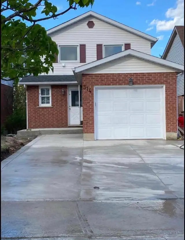 Rent basement
