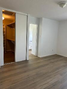 House rental - Photo 9