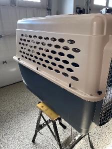 Large dog carrier/crate - Photo 2