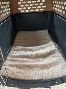 Large dog carrier/crate - Photo 3