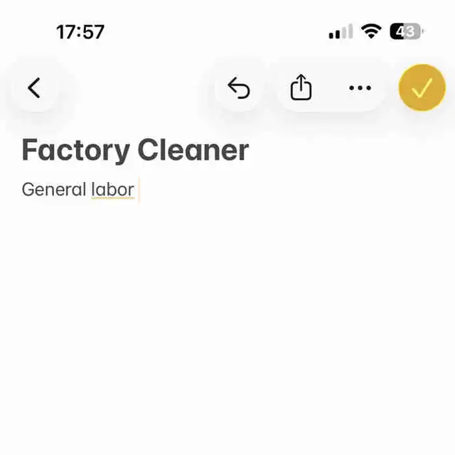 Factory Cleaner