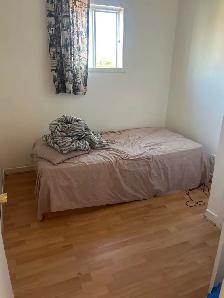 Chambre à louer ( 450/mois) - Photo 4