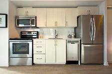 Newly Designed 1 Bdrm. for Rent  - Woodbine/Gerrard East - Photo 3
