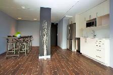 Newly Designed 1 Bdrm. for Rent  - Woodbine/Gerrard East - Photo 15