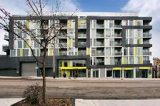 Newly Designed 1 Bdrm. for Rent  - Woodbine/Gerrard East - Photo 17