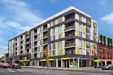Newly Designed 1 Bdrm. for Rent  - Woodbine/Gerrard East - Photo 18