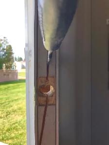 Threshold repair, door seal, Door closing problems, cracked door - Photo 7